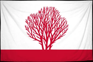 Флаг